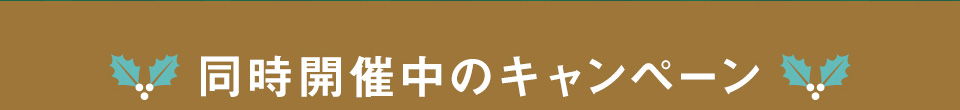 開催中のキャンペーン