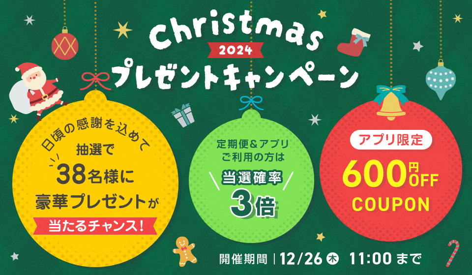 christmas campaign