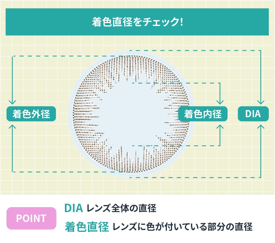 着色直径の説明