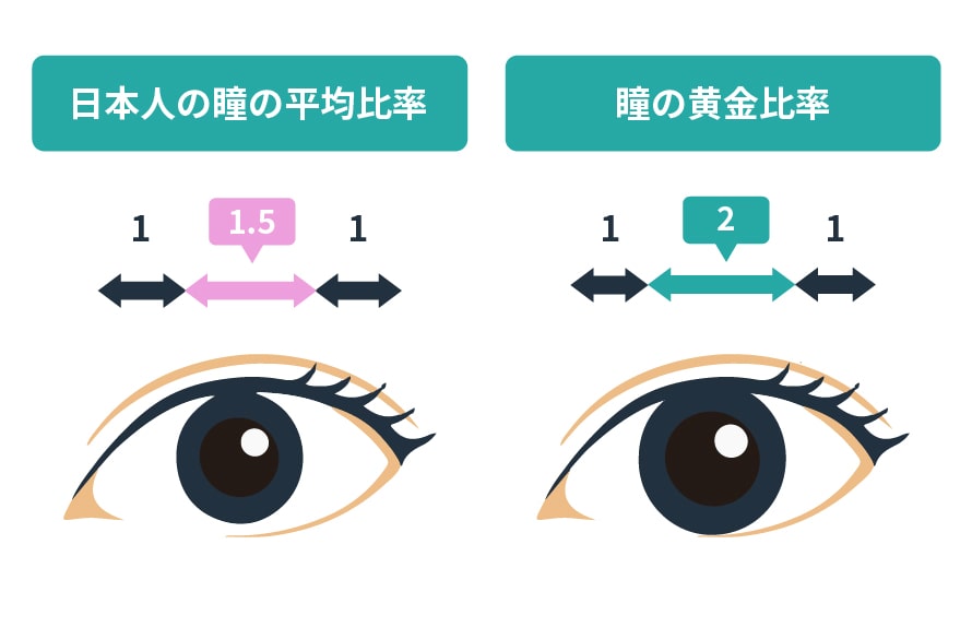 瞳の黄金比率を説明する画像