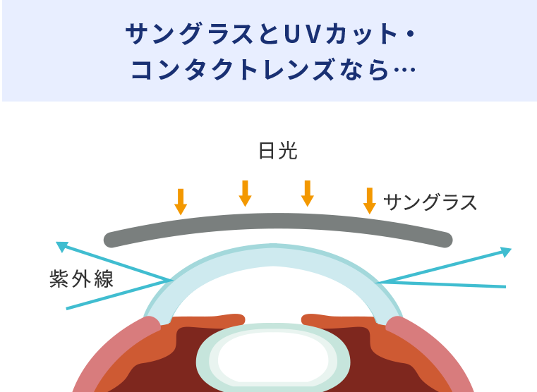 サングラスとUVカット・コンタクトレンズなら…